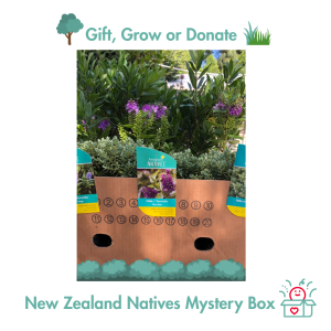 Mixed Natives 12 Plants Box